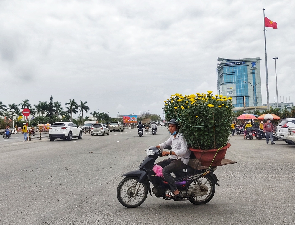 Người dân náo nức “chở” mùa xuân về nhà.
